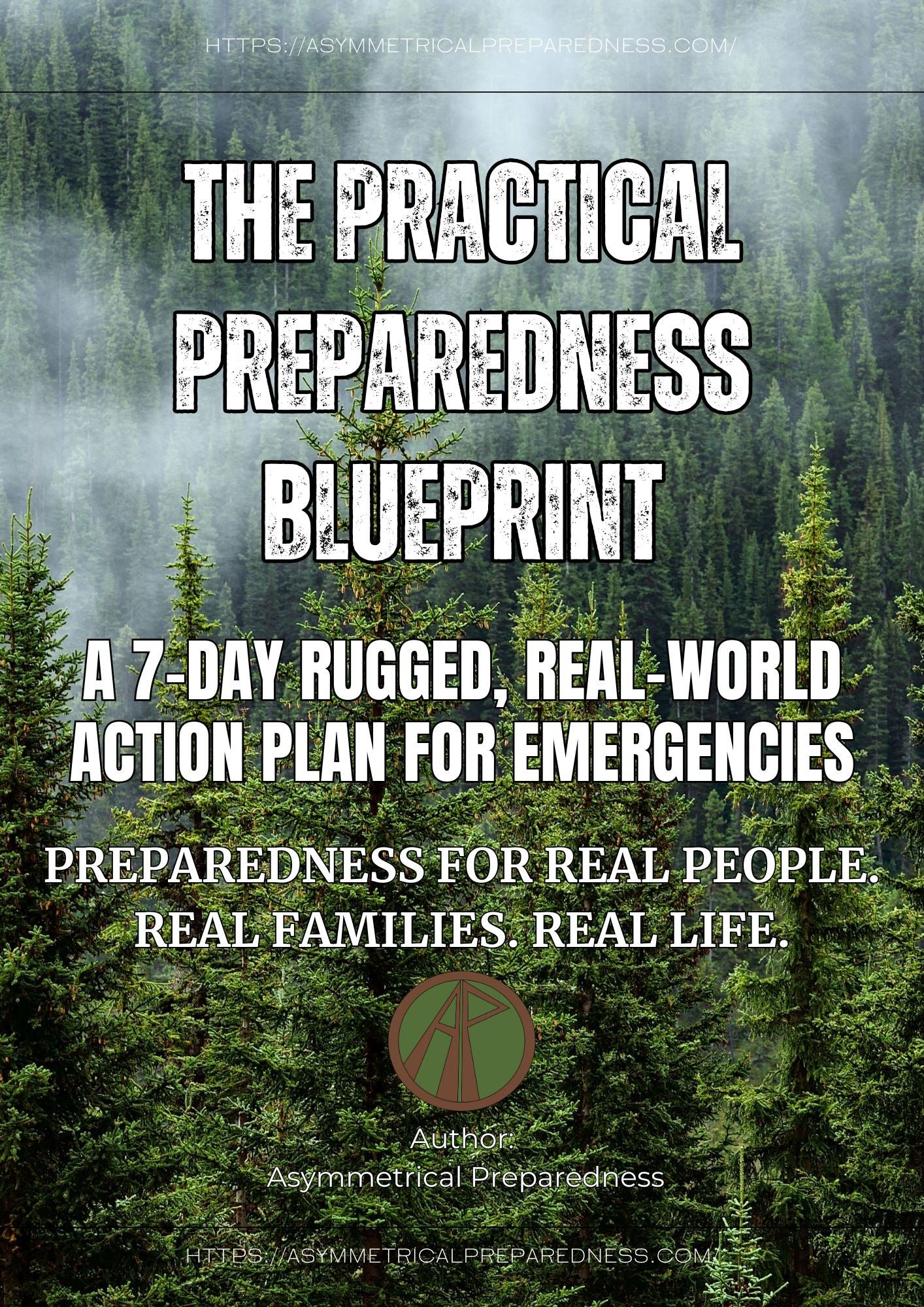The Practical Preparedness Blueprint eBook